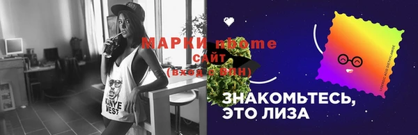 шишки Горнозаводск