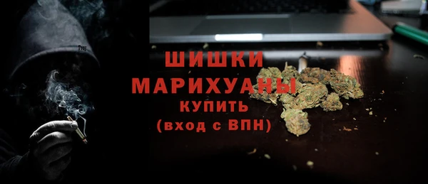 шишки Горнозаводск