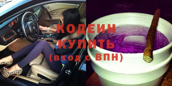 шишки Горнозаводск