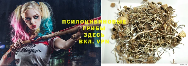 Альфа ПВП Пролетарск