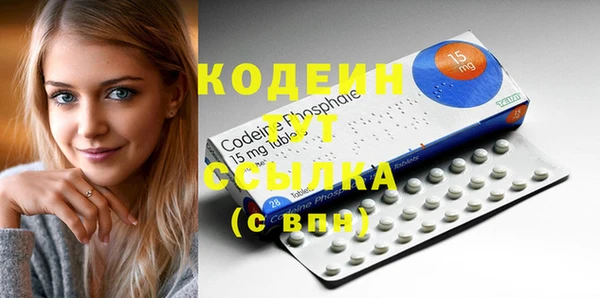 индика Дмитров
